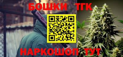 шишки Канаш