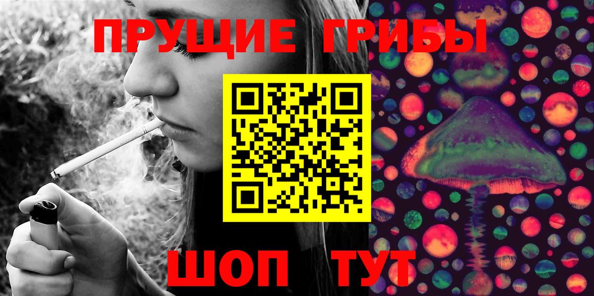Псилоцибиновые грибы ЛСД  Галлюциногенные грибы Psilocybine cubensis  Кстово  Вход с VPN 