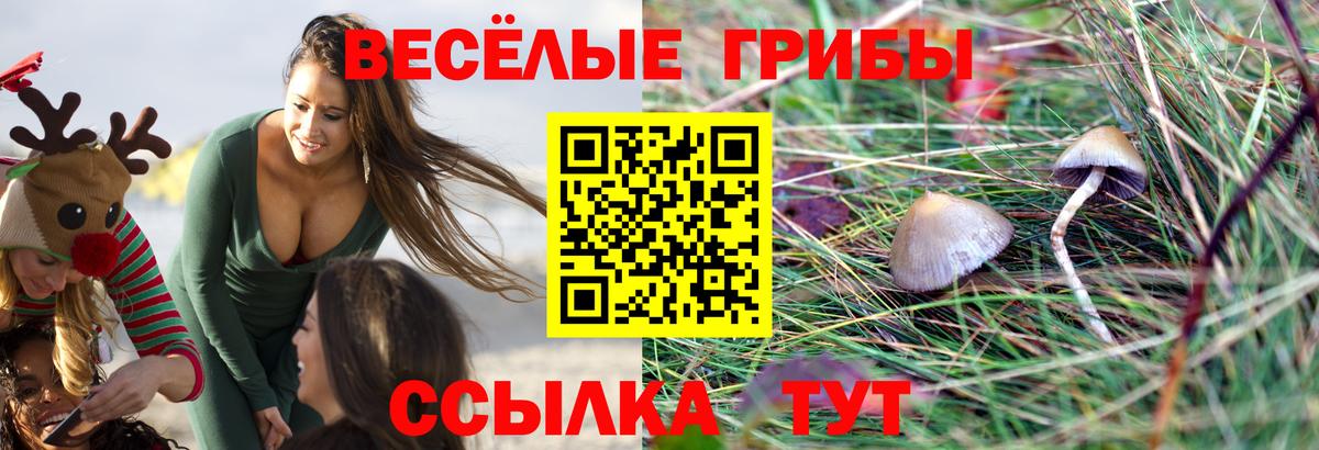 Псилоцибиновые грибы MAGIC MUSHROOMS Кстово